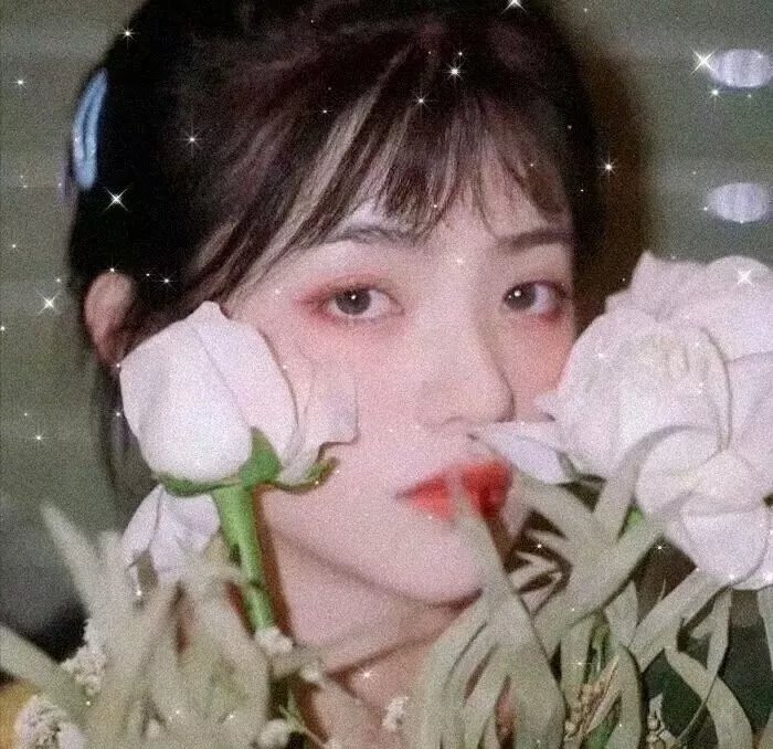 花园蜘蛛